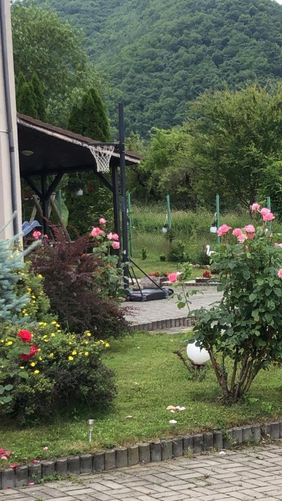 Pensiunea Casa Cu Flori Cisnadioara Exteriér fotografie