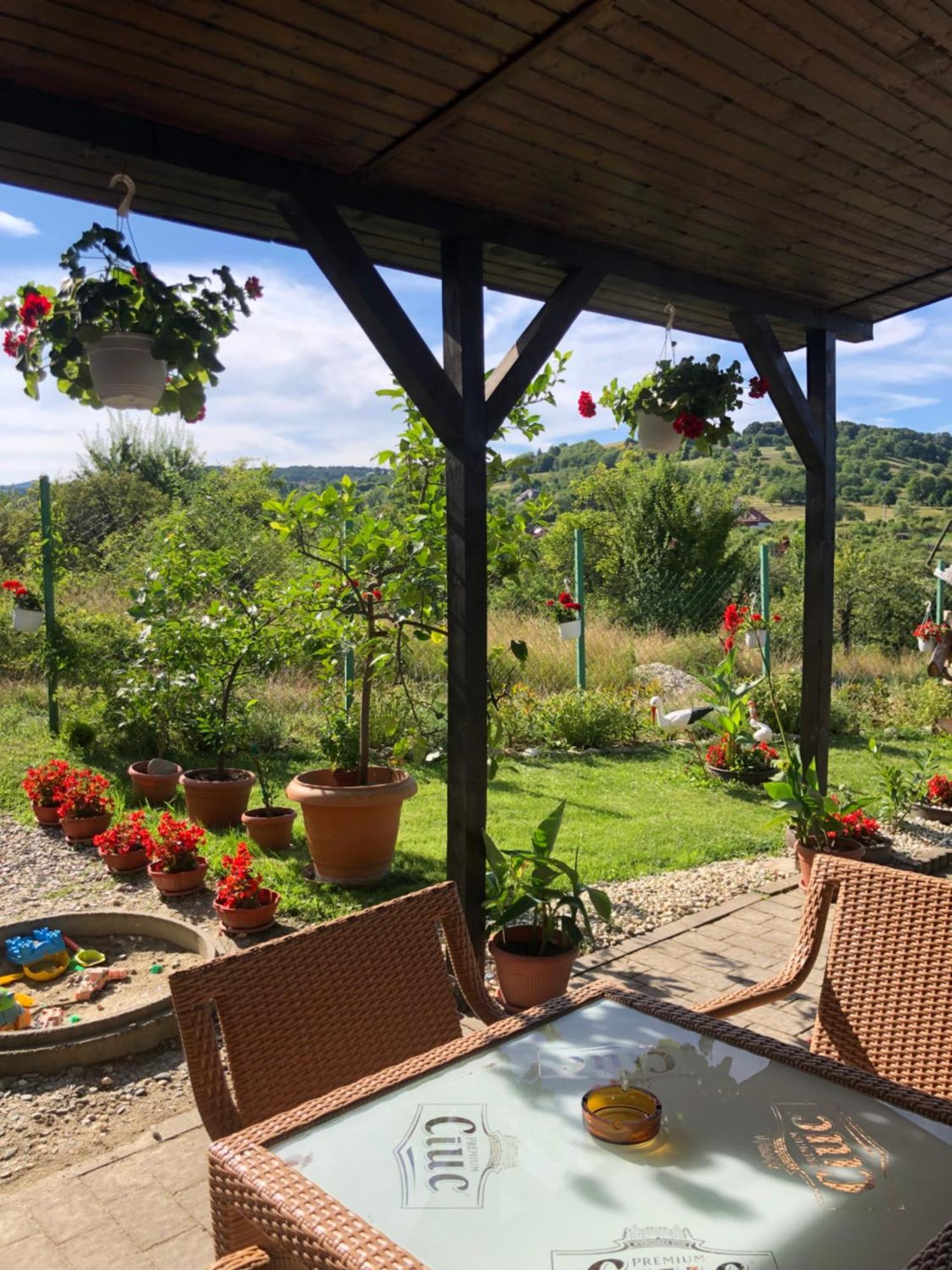 Pensiunea Casa Cu Flori Cisnadioara Exteriér fotografie