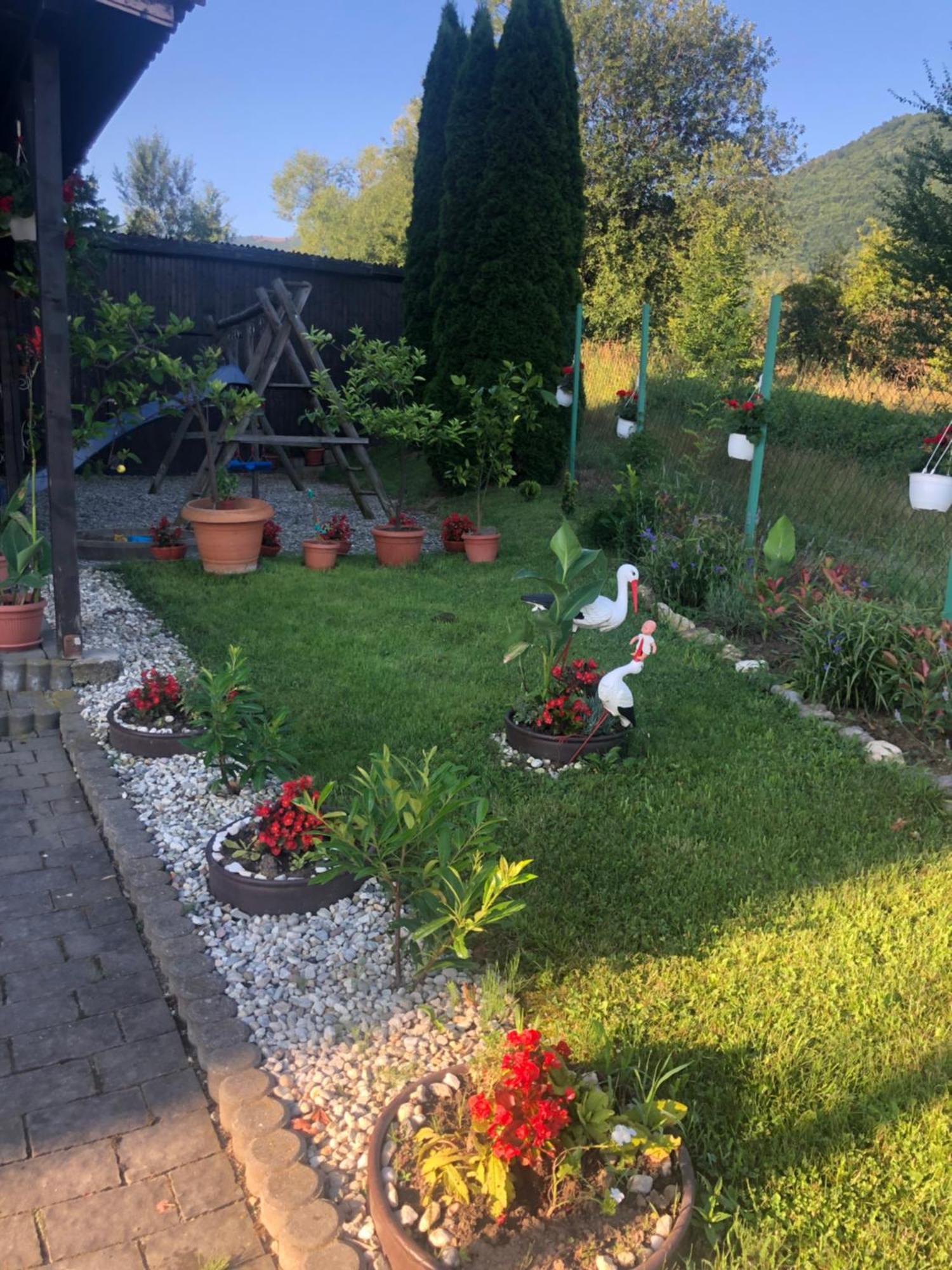 Pensiunea Casa Cu Flori Cisnadioara Exteriér fotografie