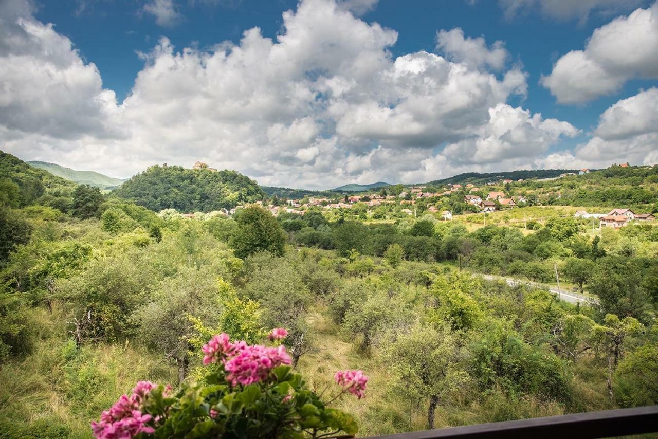 Pensiunea Casa Cu Flori Cisnadioara Exteriér fotografie