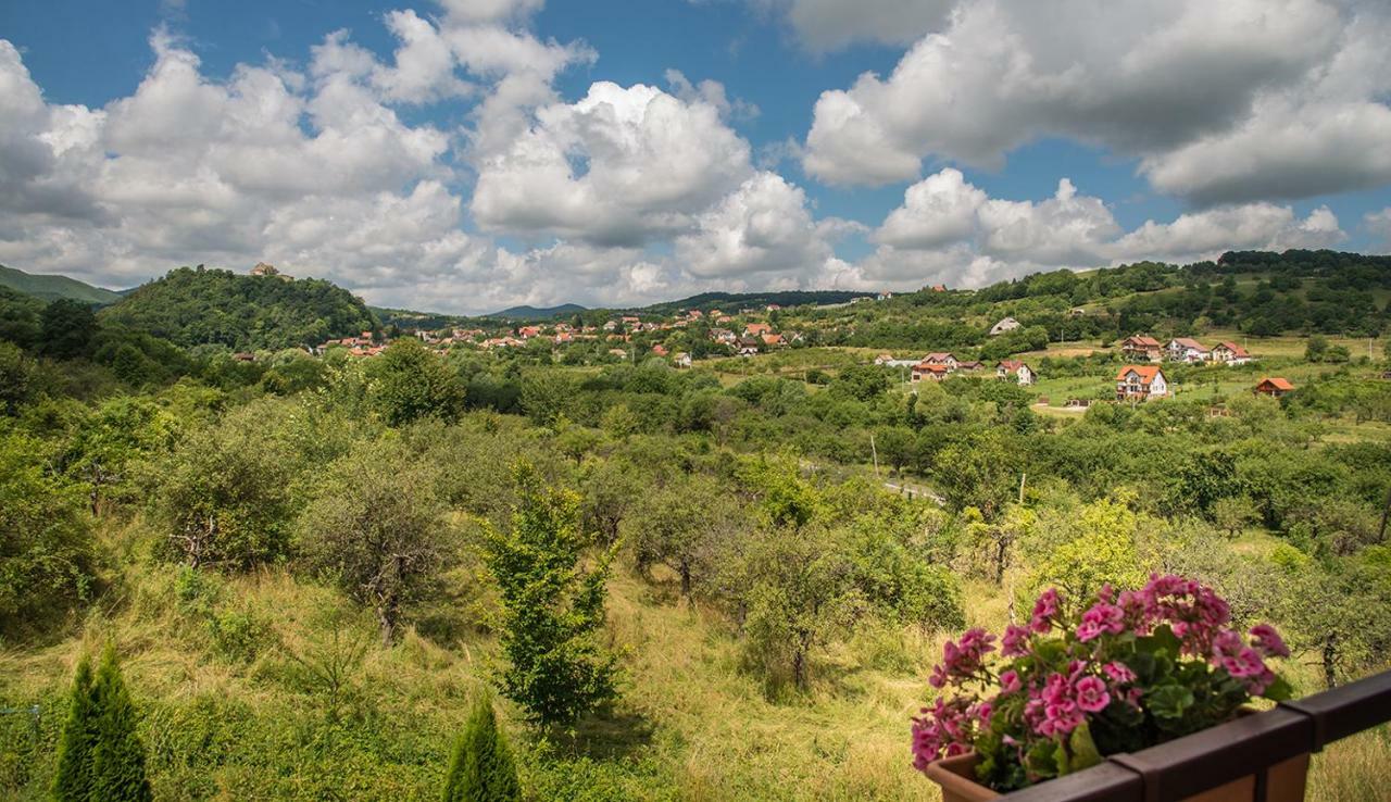 Pensiunea Casa Cu Flori Cisnadioara Exteriér fotografie