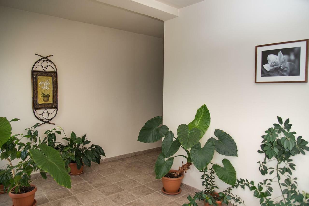 Pensiunea Casa Cu Flori Cisnadioara Exteriér fotografie